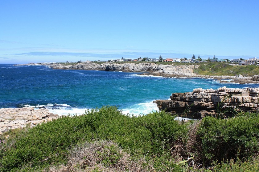 Blog Afrique du Sud - Les baleines d'Hermanus : Une activité touristique incontournable et locale