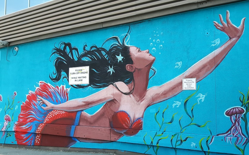 blog Canada – festival de fresques murales de Vancouver – street art