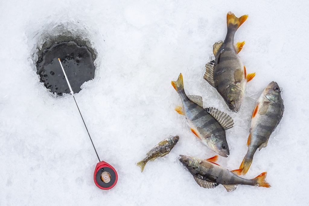 La pêche sous la glace au Québec - Blog voyage Canada