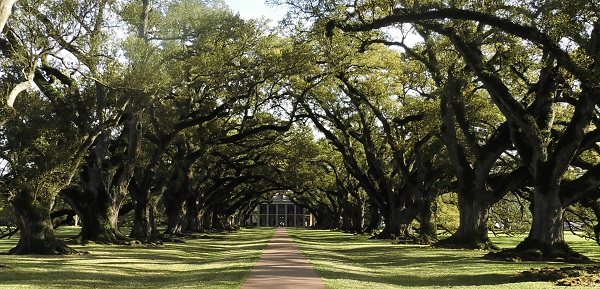 blog États-Unis – plantations de Louisiane – Oak Alley