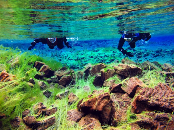 blog Islande – plongée dans le lac de Pingvellir