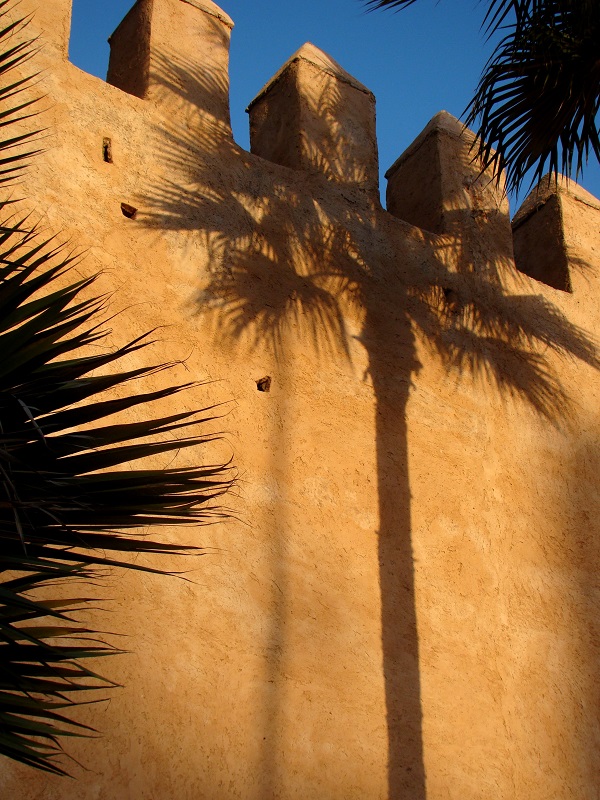 blog-maroc-séjour-rabat-palmiers