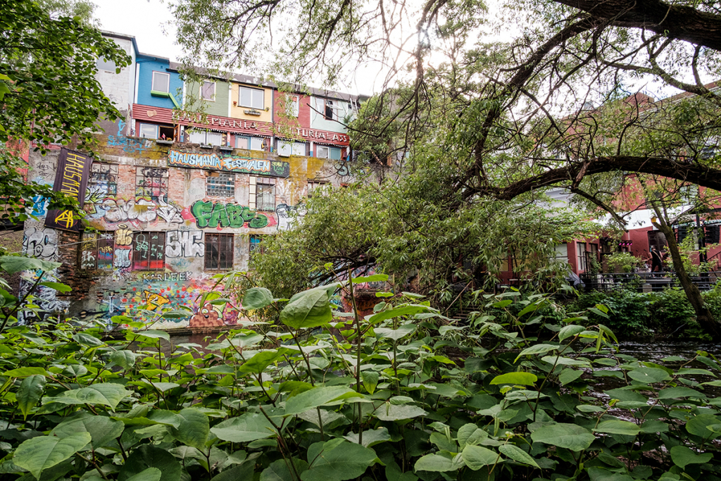 immeuble désaffecté du quartier de Grünerlokka