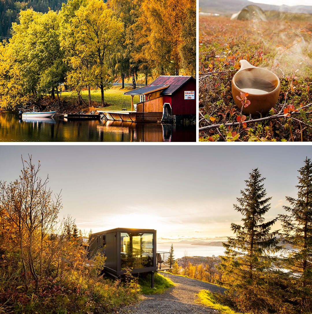 Quand la Norvège revêt ses atours d'automne, elle est irrésisitible. ©amnordic - Visit Telemark / ©Kristoffer Møllevik - Visit Helgeland / ©Narvikfjellet