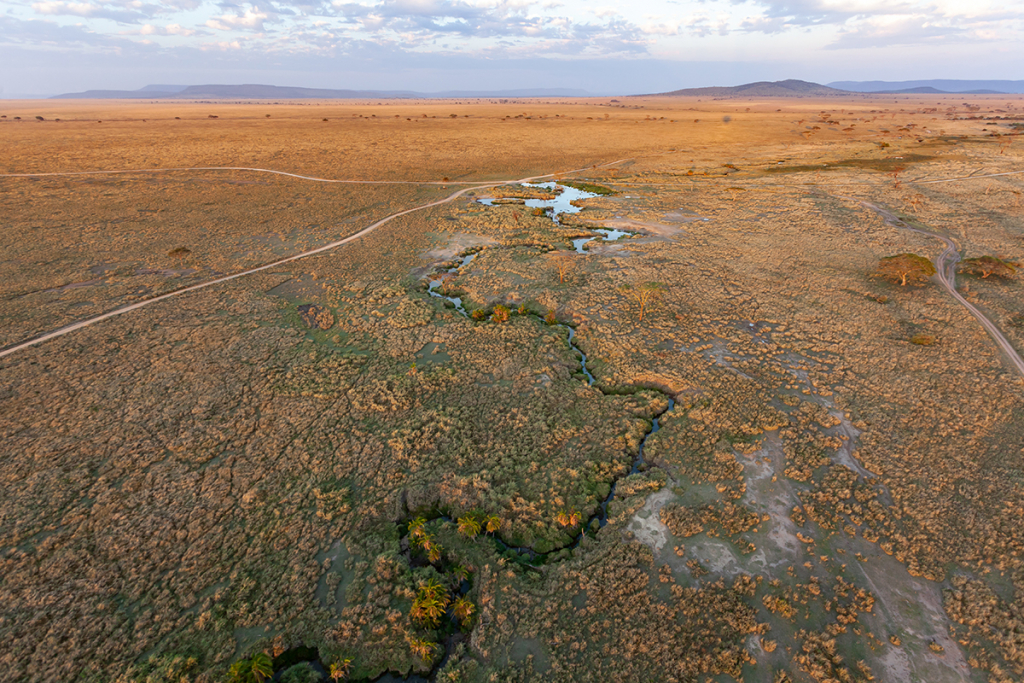 Vue aérienne des plaines infinies du Serengeti © HERREPIXX/stock.adobe.co