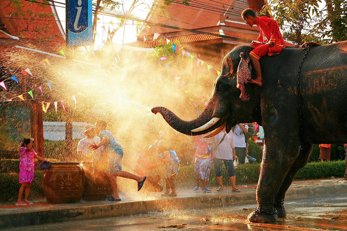 Même les éléphants participent à Songkran, le nouvel an bouddhique ! duron12345/stock.adobe.com